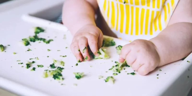 Alimenti-a-rischio-di-soffocamento-e-tagli-sicuri-900x428-1